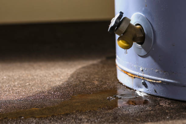 Best Residential water damage restoration  in Sharonville, OH