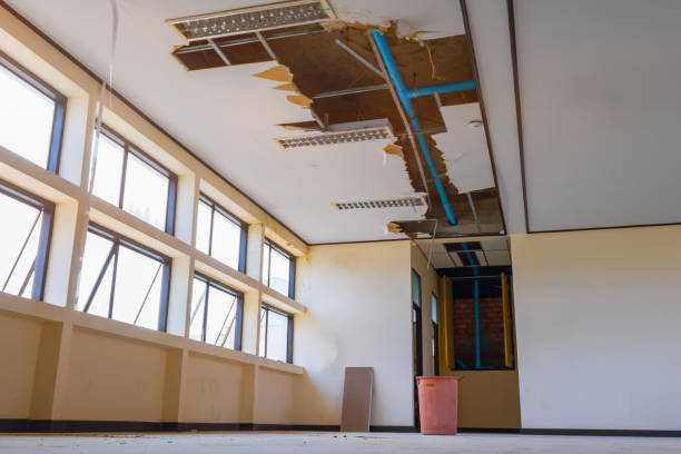 Best Professional water damage repair  in Sharonville, OH