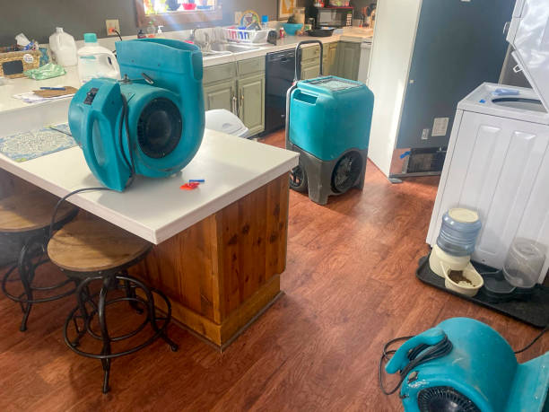  Sharonville, OH Water damage restoration Pros