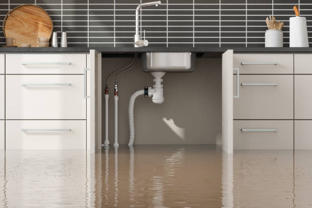Best Water damage restoration cost  in Sharonville, OH